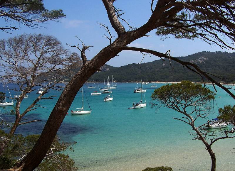 Location de bateaux pour particuliers et professionnels à Bandol près de Toulon 