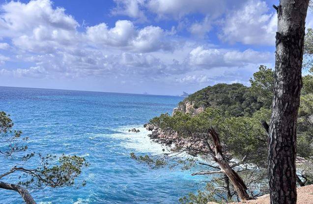 Louer un bateau en juiilet dans le Var